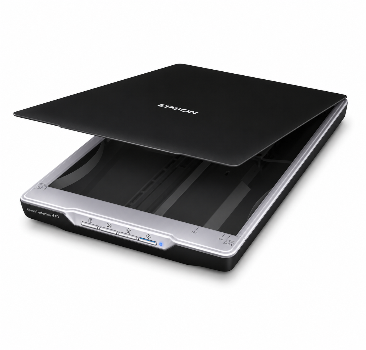 Epson Perfection V19 scanning a letter-size color photo on the flatbed glass