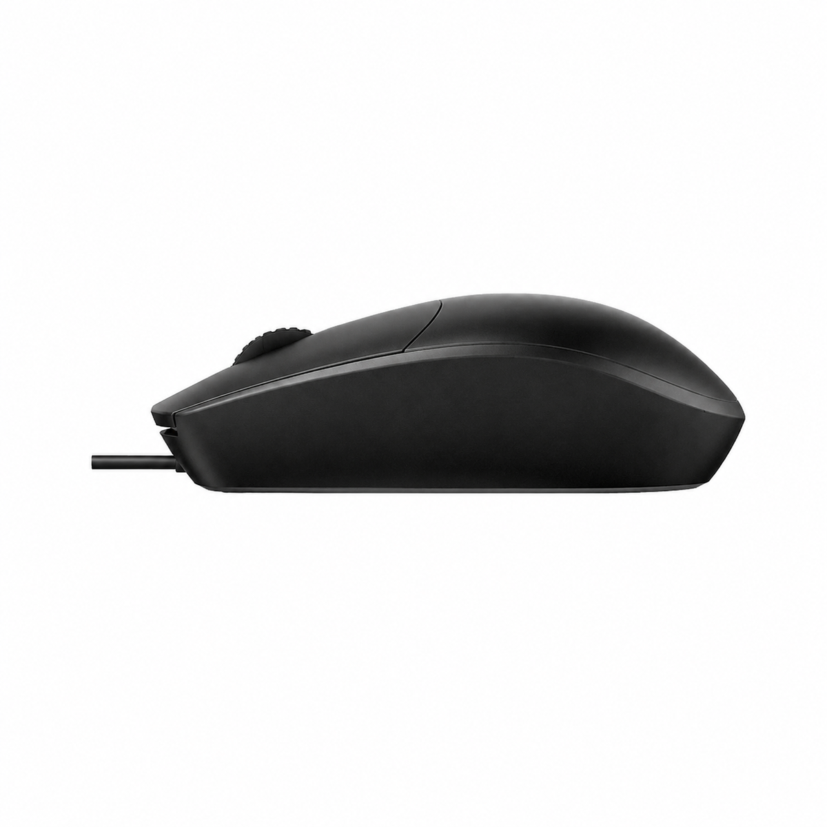 Rapoo N100C USB-C wired mouse side profile showing the slim curved black body and wired connection