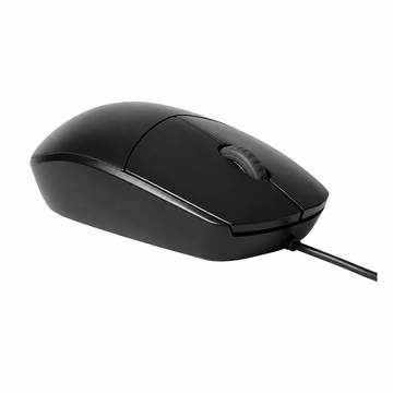 Rapoo N100 wired optical mouse side angled view showing the curved black design and wired USB cable